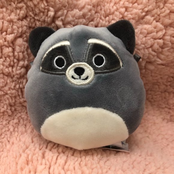Randy the Racoon dog toy! - Picture 1 of 1